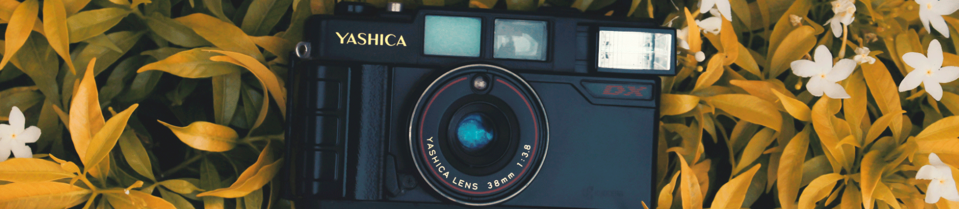 Banner Secundario